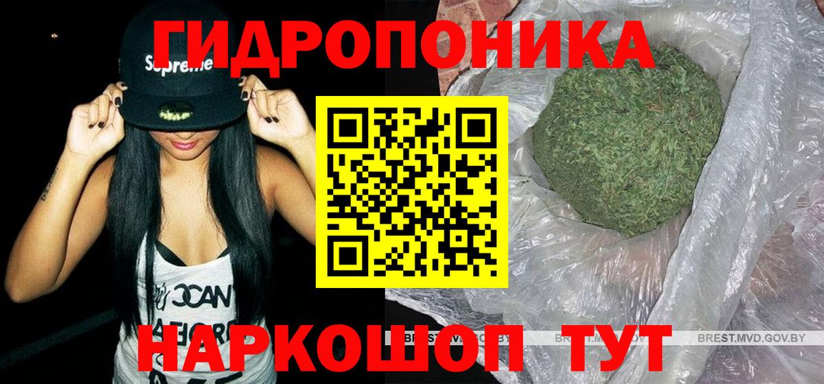 Бошки Шишки планчик  Марихуана сатива  Каннабис Ganja  Дагестанские Огни  Вход с VPN 